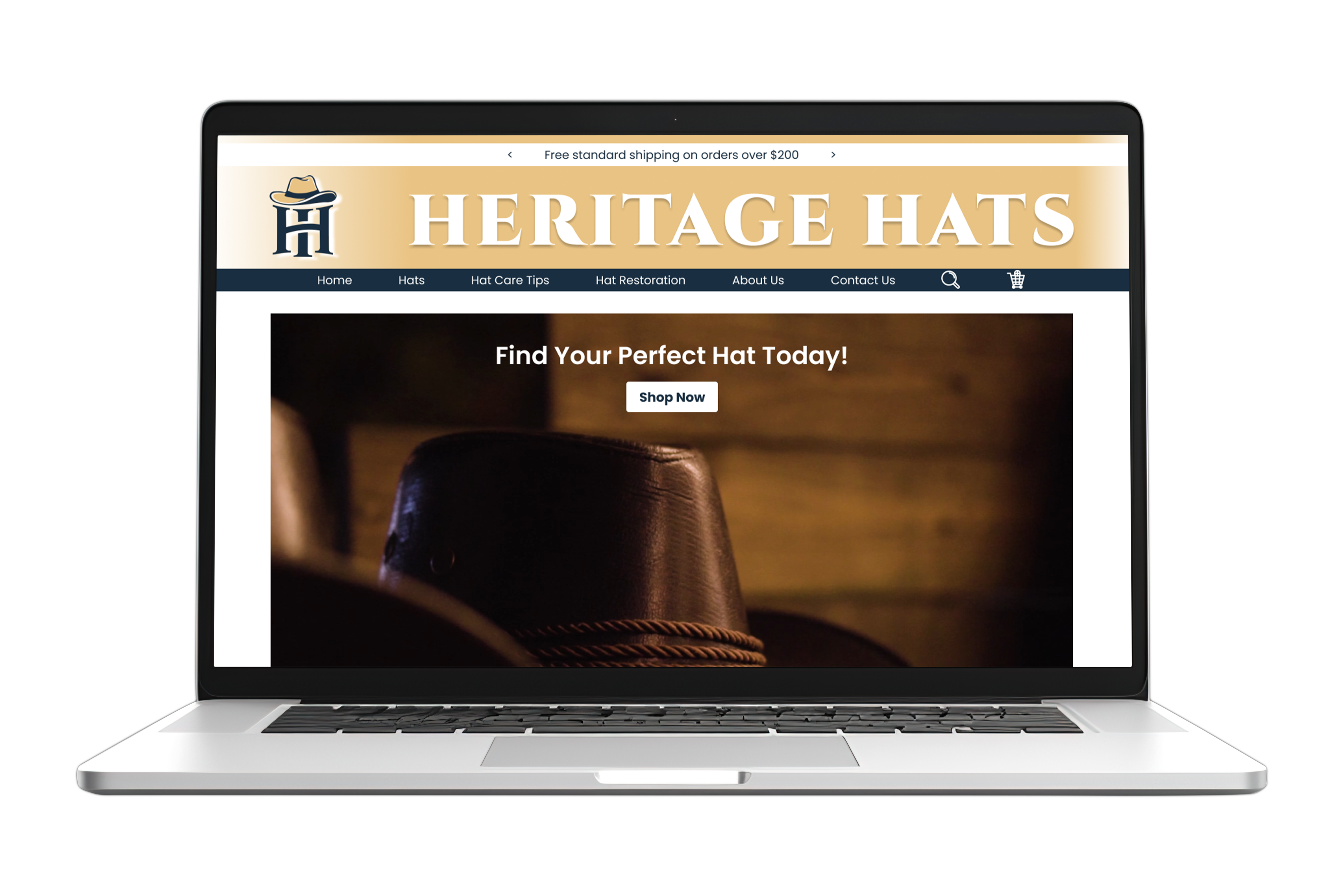 Web Design Cover